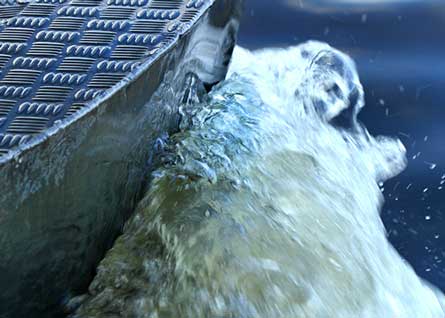 assurances voiliers Saint-Jérôme